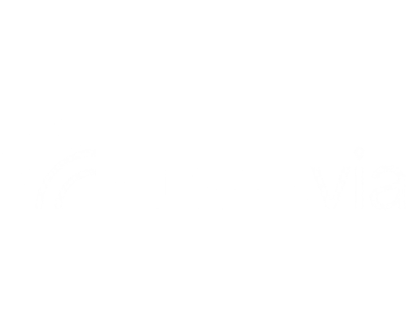 aNewVia Logo